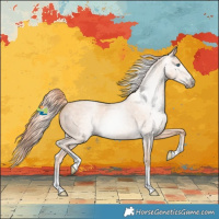 Horse Color:Gray Smoky Creme Roan Rabicano 