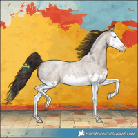 Horse Color:Classic Champagne Roan Splash 