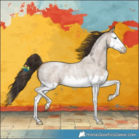 Horse Color:Classic Champagne Roan Splash 
