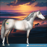 Horse Color:Gray Sable Champagne Rabicano 