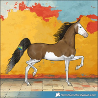 Horse Color:Gray Classic Cream Champagne Splash