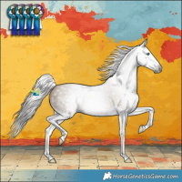 Horse Color:Gray Classic Cream Champagne Splash 