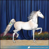 Horse Color:Gray Smoky Creme Splash Rabicano 