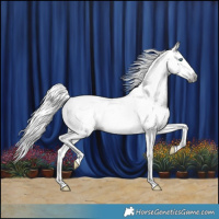 Horse Color:Gray Smoky Creme Splash Rabicano 
