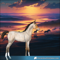 Horse Color:Gray Amber Cream Champagne Roan Rabicano 