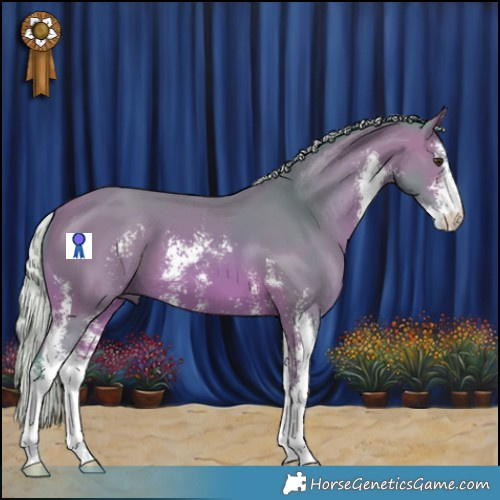 Horse Color:Watercolor Silver Bay Sabino 