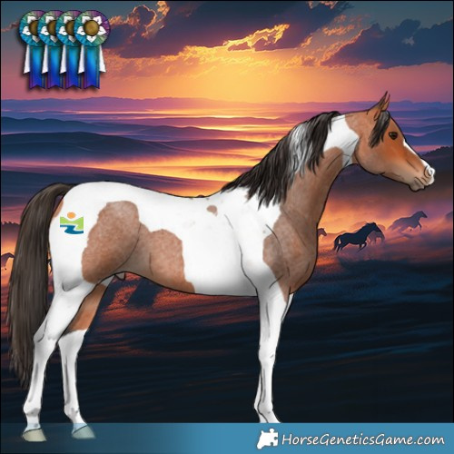 Horse Color:Bay Roan Tobiano 