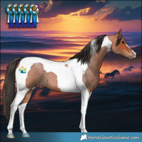 Horse Color:Bay Roan Tobiano 