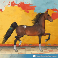 Horse Color:Brown Appaloosa 