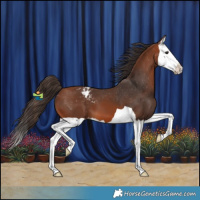 Horse Color:Bay Splash Varnish 