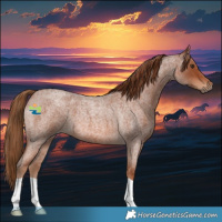 Horse Color:Red Roan 