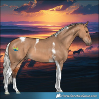 Horse Color:Silver Bay Dun Tobiano