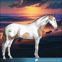 Horse Color:Bay Dun Splash Tobiano Appaloosa Rabicano 
