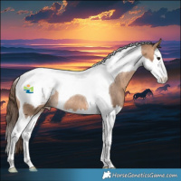 Horse Color:Bay Dun Splash Tobiano Appaloosa Rabicano