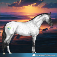 Horse Color:Blue Roan Near Leopard Rabicano 
