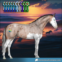 Horse Color:Bay Roan Splash Varnish 