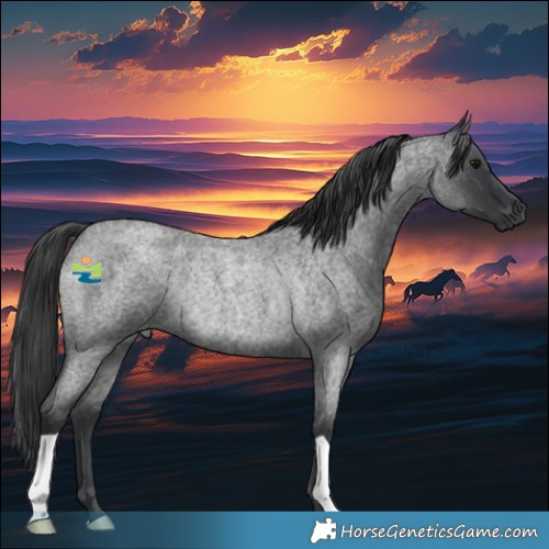 Horse Color:Blue Roan Rabicano 