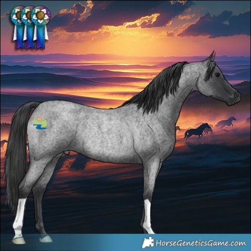 Horse Color:Blue Roan Rabicano 