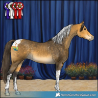 Horse Color:Buckskin Tobiano 