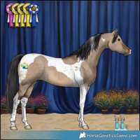 Horse Color:Brown Dun Tobiano