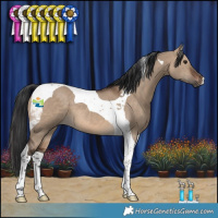 Horse Color:Brown Dun Tobiano