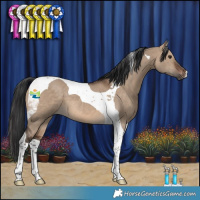 Horse Color:Brown Dun Tobiano