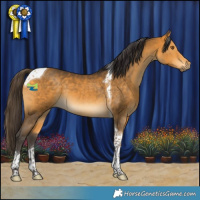 Horse Color:Buckskin Tobiano 