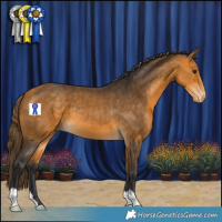 Horse Color:Buckskin Varnish 