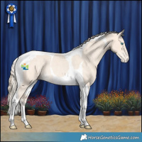 Horse Color:Perlino Tobiano Varnish Rabicano 