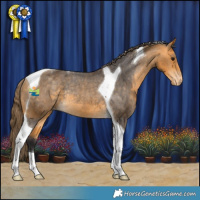 Horse Color:Buckskin Tobiano Appaloosa Rabicano 