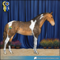 Horse Color:Buckskin Tobiano Varnish Rabicano 