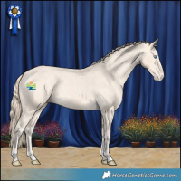 Horse Color:Perlino Appaloosa Rabicano 