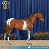 Horse Color:Brown Tobiano 