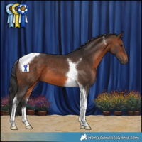 Horse Color:Brown Tobiano 