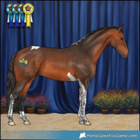 Horse Color:Bay Tobiano 