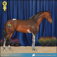 Horse Color:Bay Tobiano 