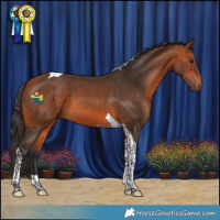 Horse Color:Bay Tobiano 