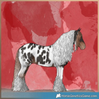 Horse Color:Liver Chestnut Tobiano Near Leopard 