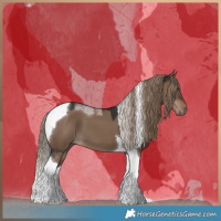 Horse Color:Liver Red Dun Tobiano