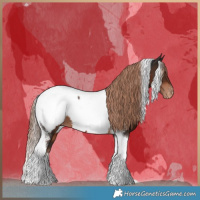 Horse Color:Liver Chestnut Tobiano Appaloosa