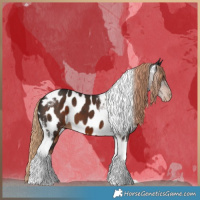 Horse Color:Liver Chestnut Tobiano Near Leopard 