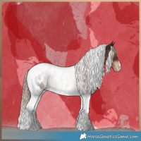 Horse Color:Liver Chestnut Tobiano Appaloosa