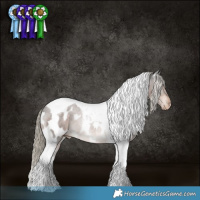 Horse Color:Liver Chestnut Tobiano Appaloosa
