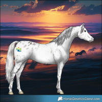 Horse Color:Gray Silver Brown Leopard Rabicano 