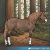 Horse Color:Liver Red Dun Rabicano 