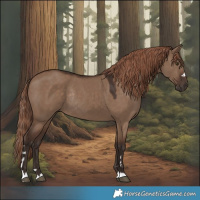 Horse Color:Liver Red Dun Rabicano