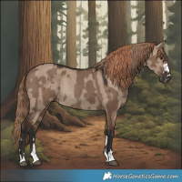Horse Color:Liver Red Dun Rabicano  and Liver Red Dun Rabicano 