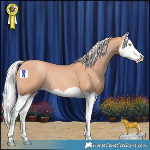 Horse Color:Silver Amber Champagne Splash 