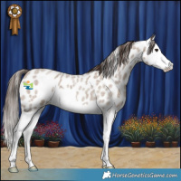 Horse Color:Classic Champagne Roan Splash Leopard 