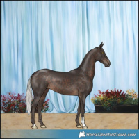 Horse Color:Silver Brown 